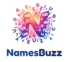 namesbuzz logo